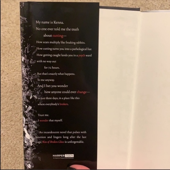 YA Novel - Picture 2 of 6